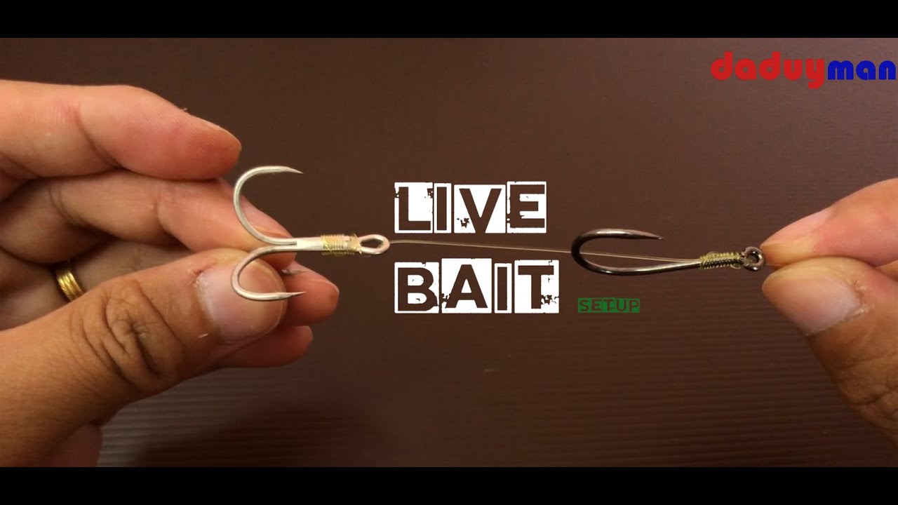 Live Bait Setup (double hook) YouTube