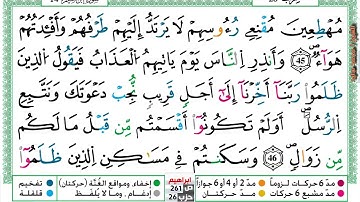 (مكررة) حفظ سورة ابراهيم  (12) للقارئ الشيخ محمد سايد