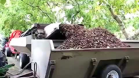 Tác Dụng Của Quả Óc Chó Mỹ 15 | Bán Quả Óc Chó Mỹ 01652699420