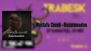 Mustafa Ceceli - Başaramadım Lyrics