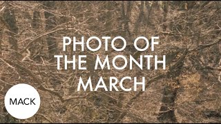 Photo of the Month: March