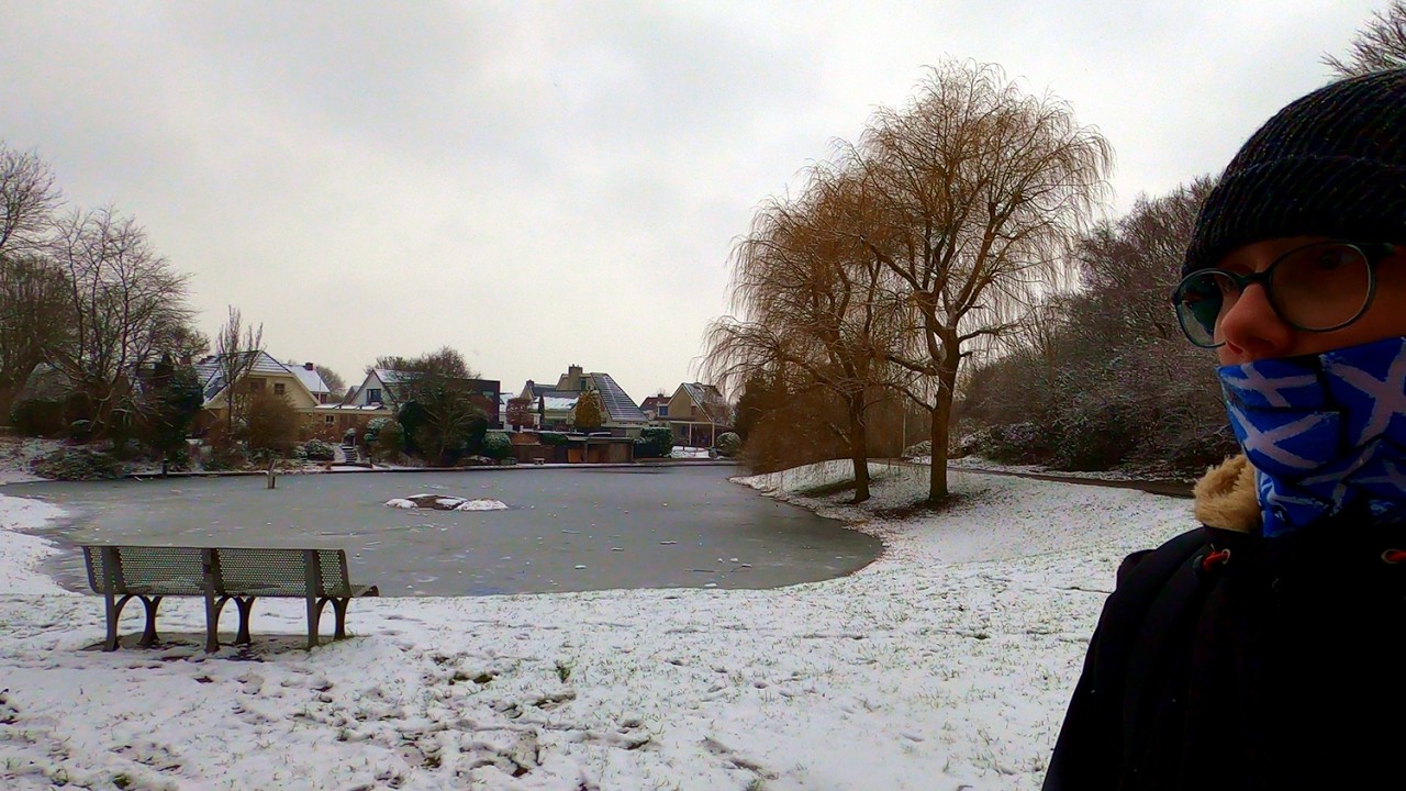 Where January Fades | Grey Skies, Nature Moments & Snowfall