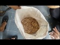 tutorial pembuatan pupuk organik cair bahan dasar batang pisang