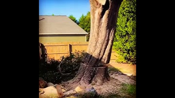 Alone at a job site with a GRCS