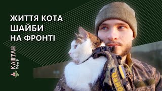 Пухнастий побратим. Історія бойового кота Шайби та його господаря-військового Олександра Ляшука