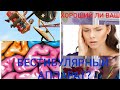 Хороший ли Ваш ВЕСТИБУЛЯРНЫЙ АППАРАТ?ТЕСТ!-Гугол знаний