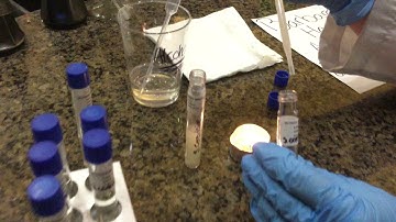 Environmental Influences on Microbial Growth-Salt Tolerance & pH testing (Part 1)