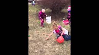 Lily getting eggs Easter egg hunt 2014