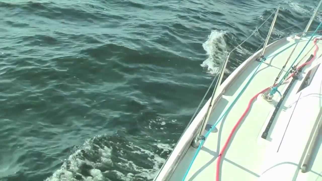 sailnator.de - Segeltörn Dänische Südsee