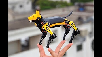 Bittle Bionic Open Source Robot Dog for STEM & fun Petoi X TinkerGen