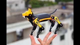 Bittle Bionic Open Source Robot Dog for STEM & fun Petoi X TinkerGen