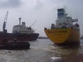 LADY STEPHANIE - BALTIC GUIDE - King George Dock - Hull