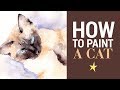 Peindre un chat à l'aquarelle
