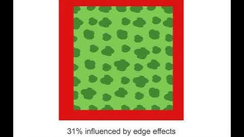 Edge effects #manaus #brazil #ecology #biology #NEET