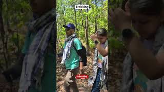 Hum Jungle Mein Kho Gaye 😳🌲 | Trekking Vlog | #shorts#trekkinh