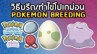 วิธี Breed ไข่ Pokemon (สร้างโปเกม่อนสุดเก่ง) ใน Pokemon Brilliant Diamond & Pokemon Shining Pearl