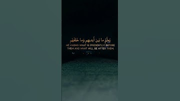 ايه الكرسي للقارئ ( اسلام صبحي ) ❤️