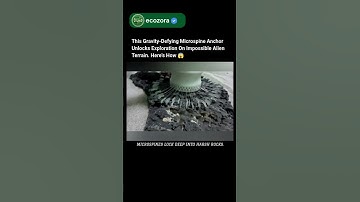 NASA Anchor Grips Impossible Rocks Using Futuristic Alien-Inspired Microspines  #nasa #robotics