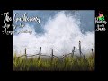 The Gathering – Palette Knife Clouds - Step-by-Step Acrylic Painting on Canvas