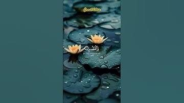 سورة العصر  #قرآن #تلاوة_خاشعة #great_ideas