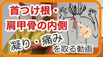 背中が痛い Youtube