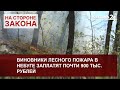 Виновники лесного пожара в Небуге заплатят почти 900 тыс. рублей