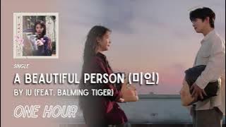 A Beautiful Person (미인) By IU, Feat. Balming Tiger | One Hour Loop