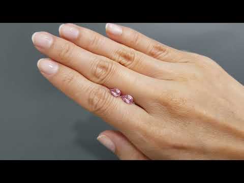 Pair of pink spinels in pear cut 1.51 carats, Tajikistan Video  № 3