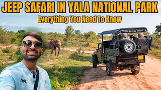 Yala National Park - Sri Lanka | Everything About Jeep Safari 2024 screenshot 1