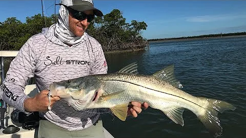Inshore Slam All Caught In 1 Spot on 1 Lure [Post-Cold Front Fishing Lesson]