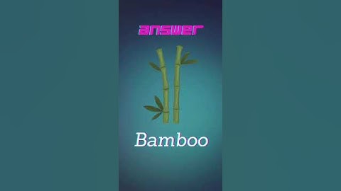 Riddle Me This: 3 Logic Puzzles That