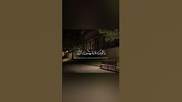 القارئ محمد اللحيدان(وكان الله غفورا رحيما) Reader Mohammed Al-Luhaidan