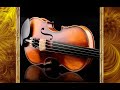 Jan fila magic violin 2022 70 min top violin