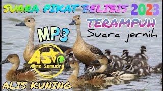 SUARA PIKAT 🎯 BELIBIS🔥 ALIS KUNING TERBAIK PENUH BERKAH ||  BIRD TRAPPING screenshot 1