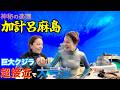 【号泣】加計呂麻のホエールウォッチングと海の絆が最高すぎた!