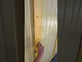 Бытовка, которую чаще всего выбирают #бытовки #стройка #дача