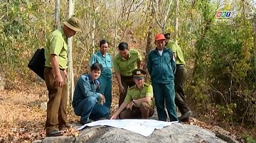 Tăng cường công tác PCCC rừng trước trong và sau Tết Nguyên đán Giáp Thìn năm 2024 | BRTgo