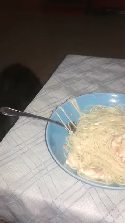 El gato que come espaguetis YouTube El gato que come espaguetis YouTube