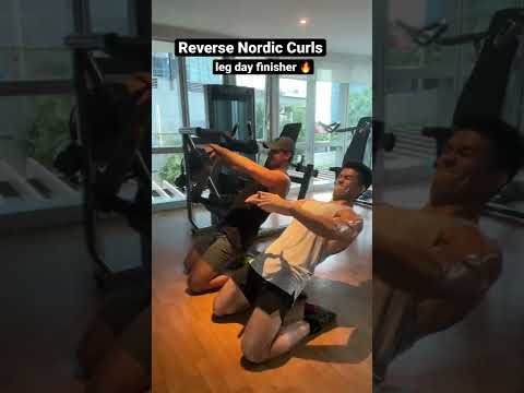 Reverse Nordic Curls 💪 #fitness #fitnessmotivation #workout #workoutmotivation #markmugen