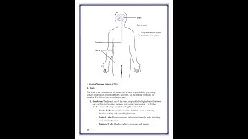 IGNOU BPCG-171 Assignment 2024-25 | General Psychology Solved Guide & Tips