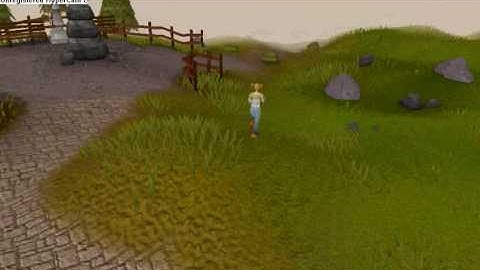 Runescape Race Teleport VS Running