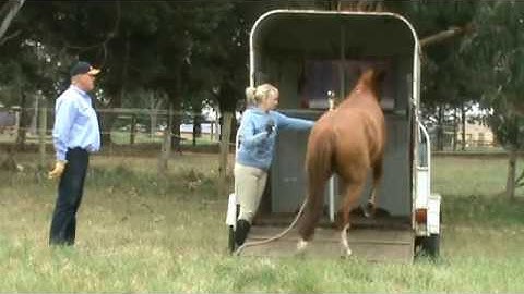 Horse Training - Float Loading Video Training 1 Overview