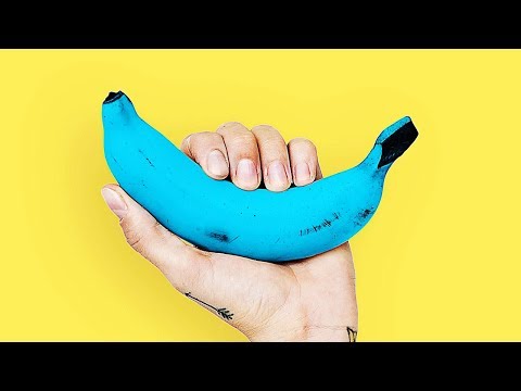 Голубая ява сорт бананов со вкусом ванильного мороженого