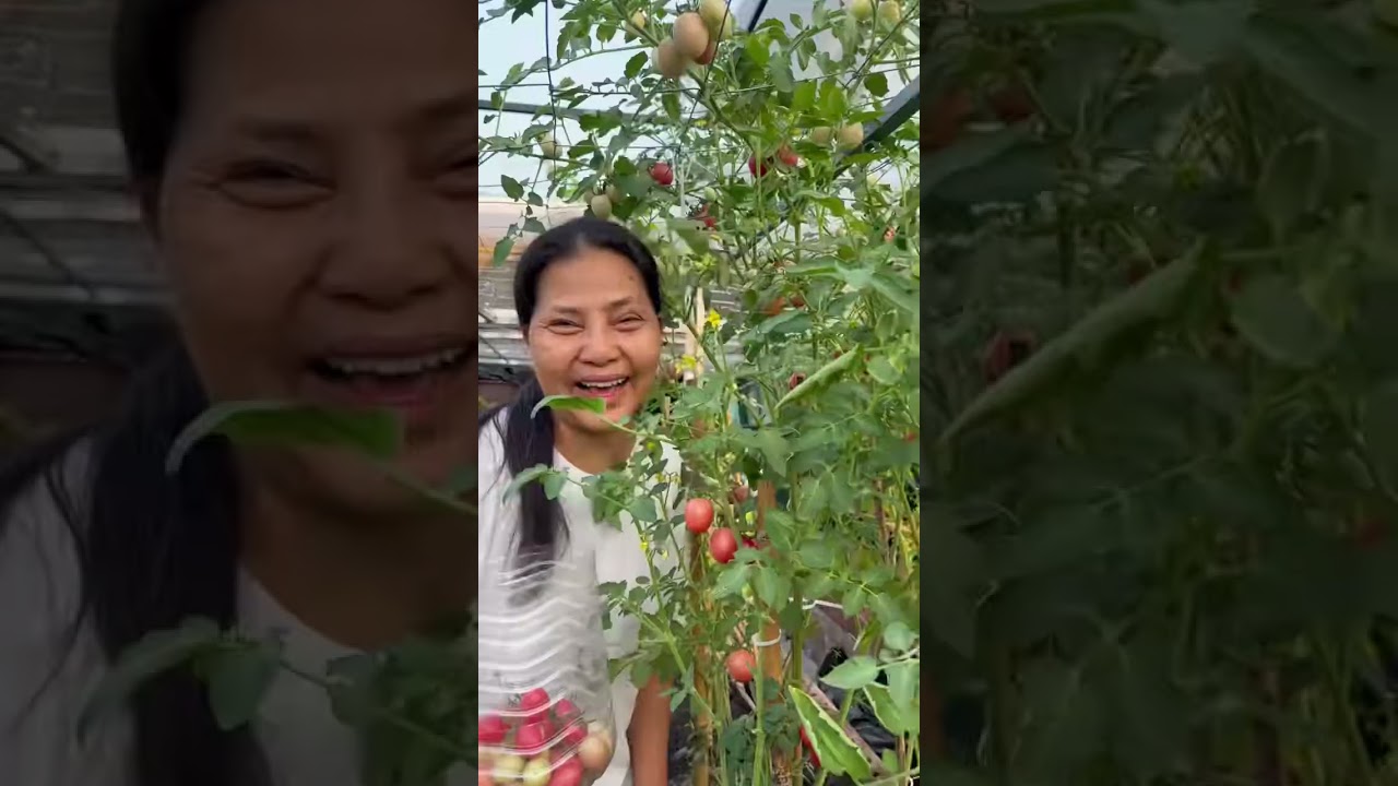 ของสุนคือการทำคลิปกิจวัตรจริงๆของสุนให้ ทุกคนที่ได้ดูมีความสุข มันง่ายและดีกับใจจริง❤️🫂🌹🏡