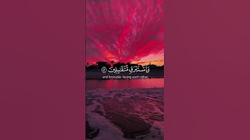 آيات كريمات من "سورة الدخان " ((ان المتقين في مقام أمين)) | بصوت -الشيخ اسلام صبحي- #خالد_محمد_زياد