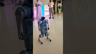 Robotic Dog at Dubai’s Future Museum| Real AI Tech ✌️ #RoboticDog #DubaiTech #AI#MuseumOfTheFuture