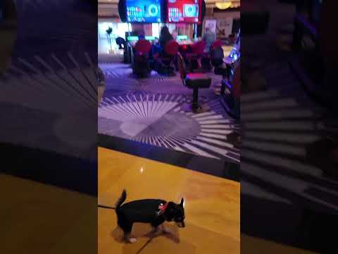 SONIDO CASINO 3