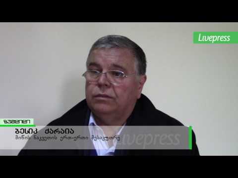 აშენდება თუ არა ბიბლიოთეკის მიმდებარედ არტ -კაფე