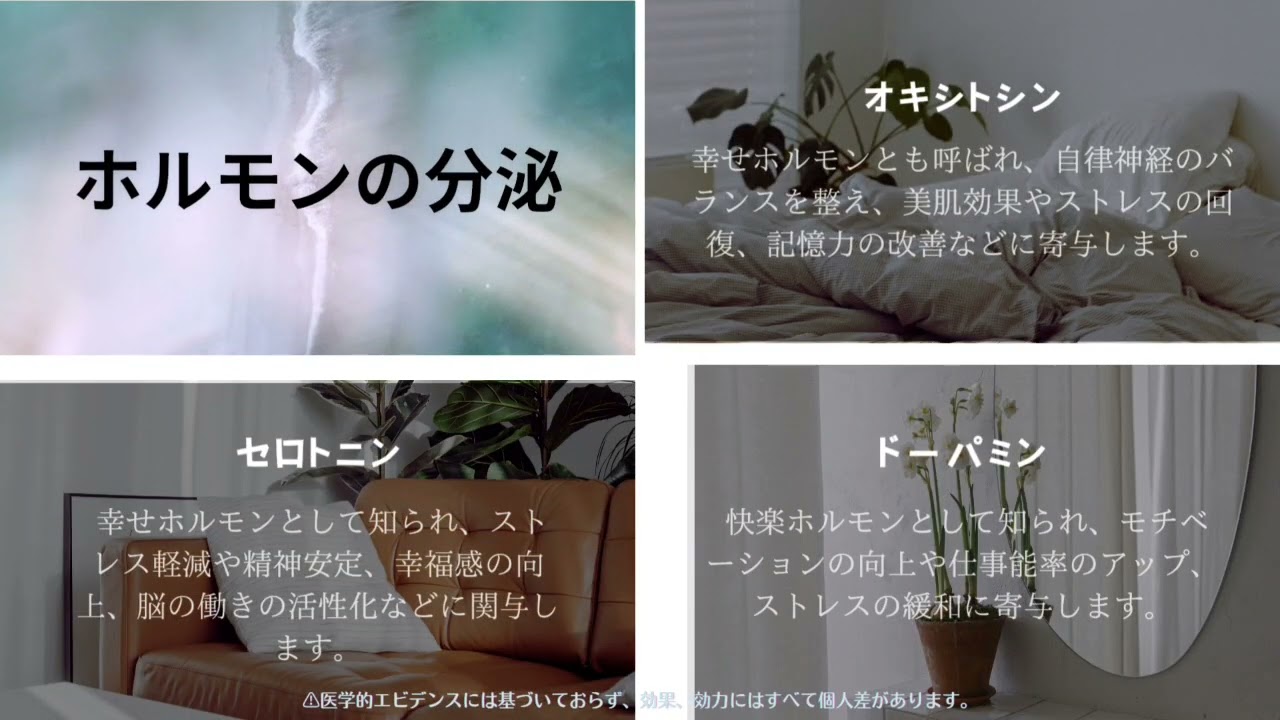 アクセスバーズ紹介動画