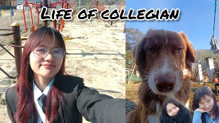 COLLEGE LIFE IN BOMDILA || ARUNACHAL PRADESH ||~Life with my FURBALLS (❁´◡`❁)